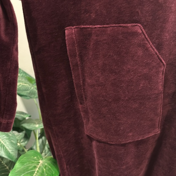 J. Jill Pure Jill Burgundy Velour Long Sleeve Shift Dress with Pockets - Picture 4 of 10